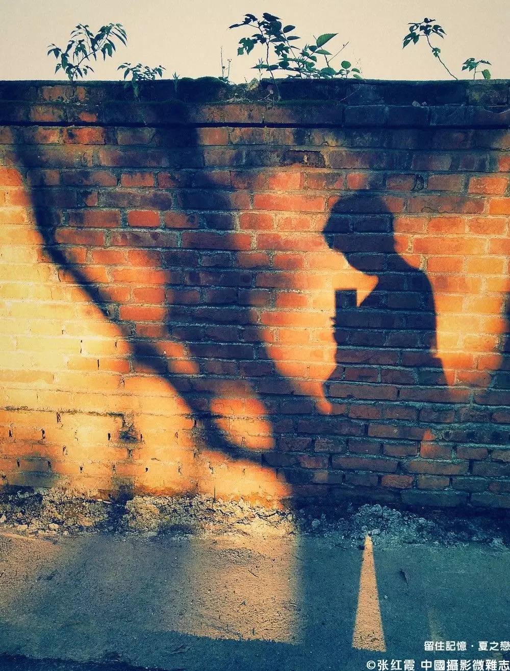 夏之恋完整版mv,夏之恋完整版免费阅读