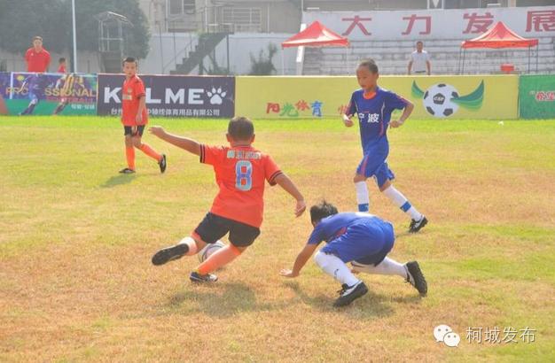 不得了!柯城这群绿荫小将拿了全省冠军!