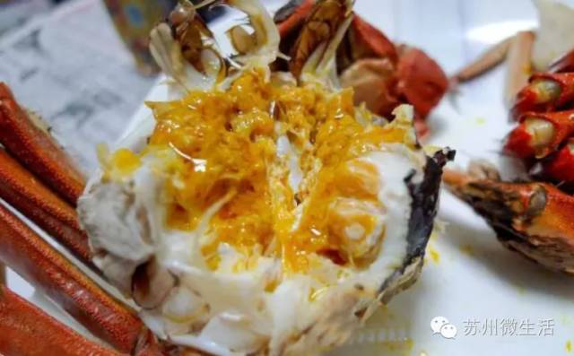 六月黄，令苏州人“魂牵梦萦”的那一口鲜嫩浓香的黄金膏油~来了！