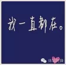 锋言疯语深度解析,锋言疯语是什么意思