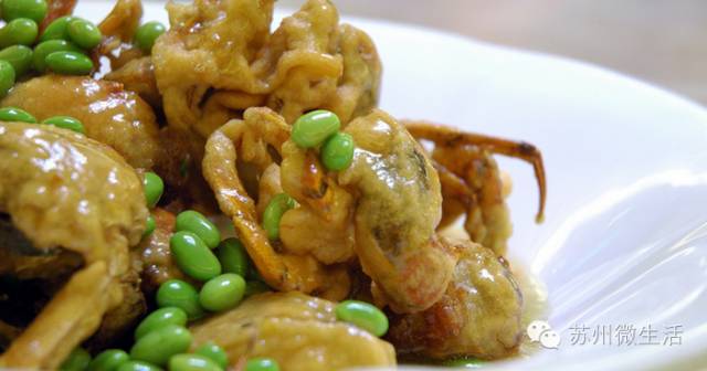 六月黄，令苏州人“魂牵梦萦”的那一口鲜嫩浓香的黄金膏油~来了！