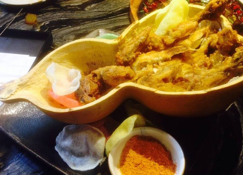 住西安城墙下的感受,西安城墙根下的浪漫