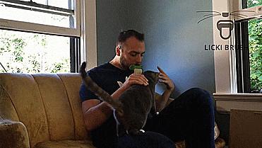 鐙楃嫍鑰佹槸鑸旀瘺鑸旂殑鍦版柟鏄孩鑹茬殑,鐚挭鑸旀瘺鑸旂殑鐗瑰埆鍕ゅ睘浜庢甯稿悧