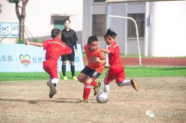 不得了!柯城这群绿荫小将拿了全省冠军!