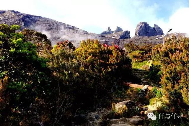 马来西亚pengerang旅游攻略,沙巴旅游自由行十大必去景点
