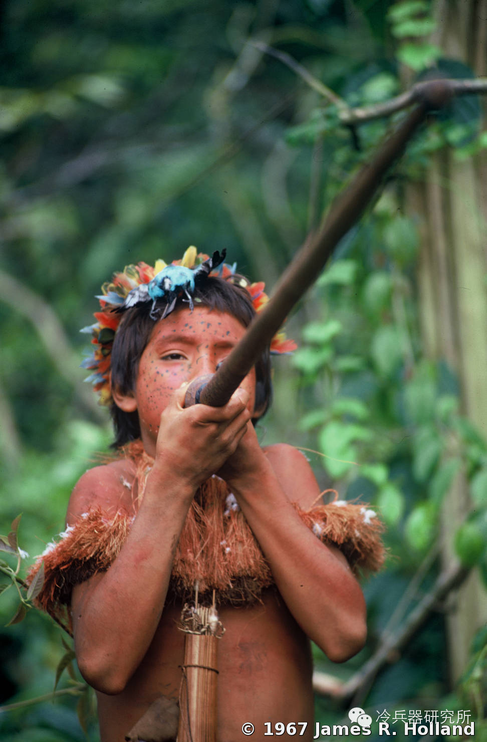 原始社会狩猎采集视频,原始时代狩猎都用什么武器