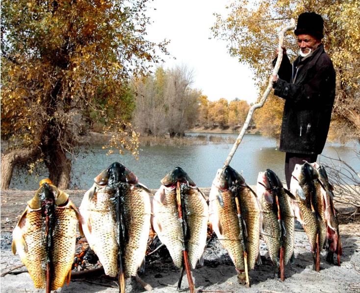 巴楚的旅游景点,巴楚旅游景点大全