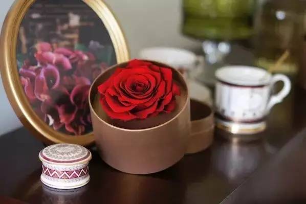 十二星座的狮子座最爱的是什么,狮子座是十二星座最可爱的吗