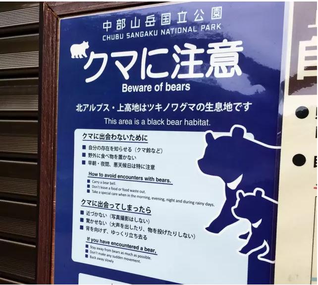 动物生气的后果很严重,去野生动物园注意事项