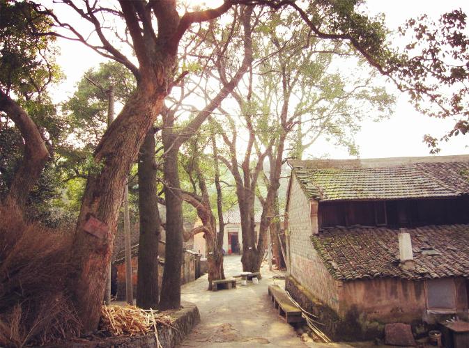 山间漂流避暑旅游,浙江深山避暑天堂住木屋