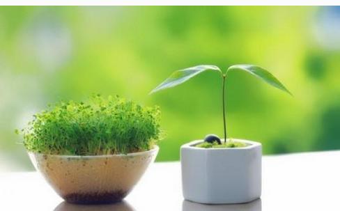 幼儿园家长会怎么开最轻松,幼儿园如何有效开家长会