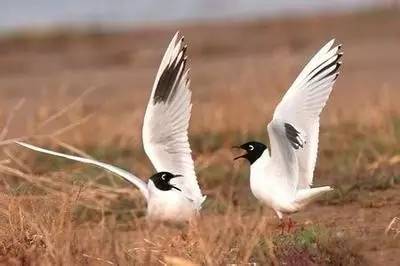 辽宁景点门票,辽宁省景点大全一览表