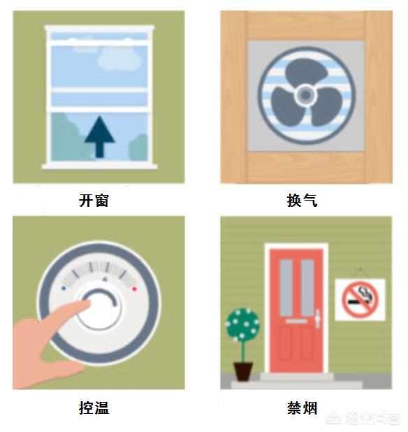 室内放什么绿植对去除甲醛有效,甲醛多少算超标如何去除室内甲醛