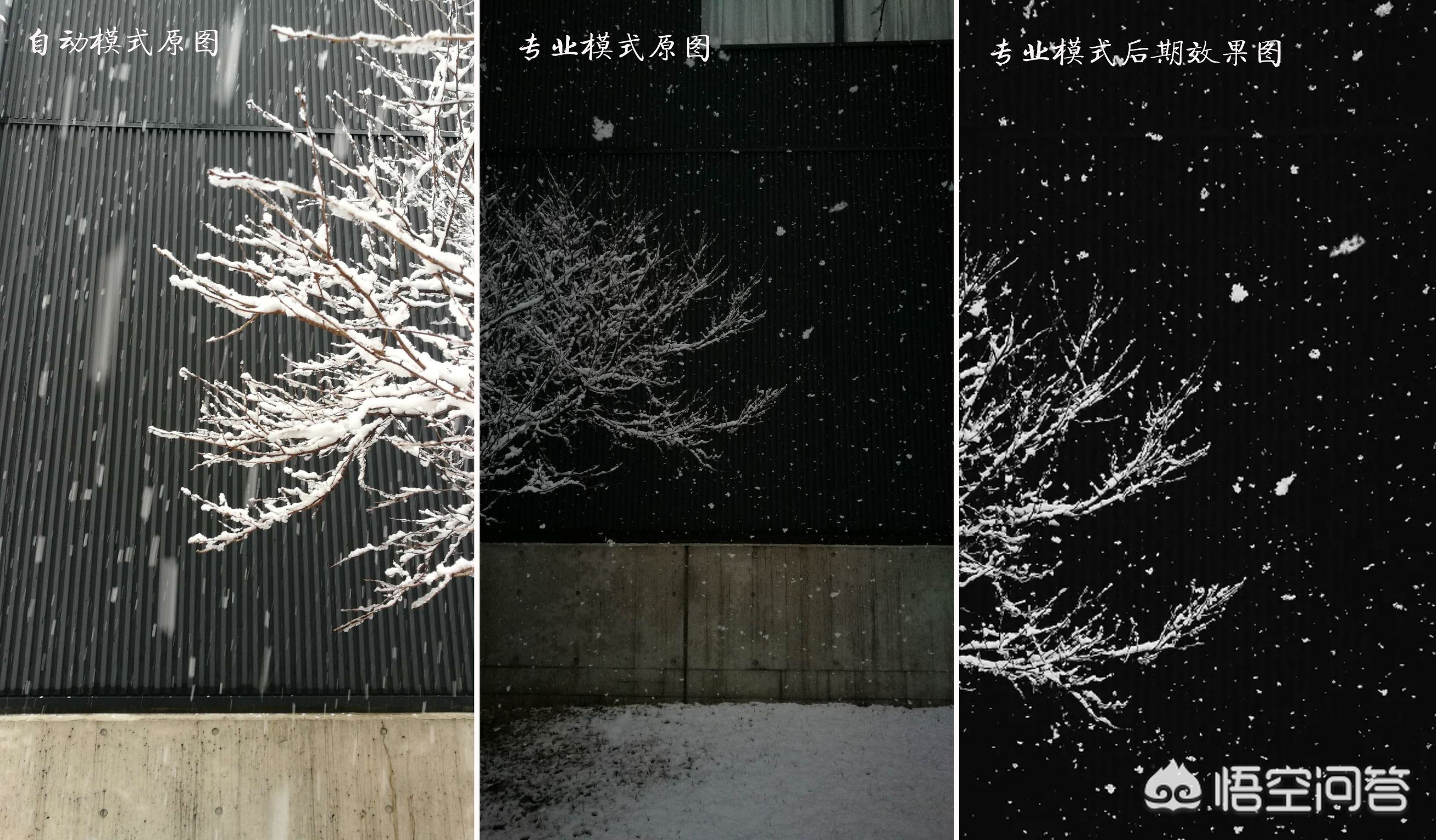 手机摄影快门速度与iso口诀表,相机光圈快门iso怎么设置