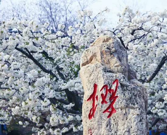 辽宁景点门票,辽宁省景点大全一览表