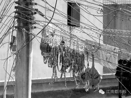 南昌宜居吗,南昌宜居指数