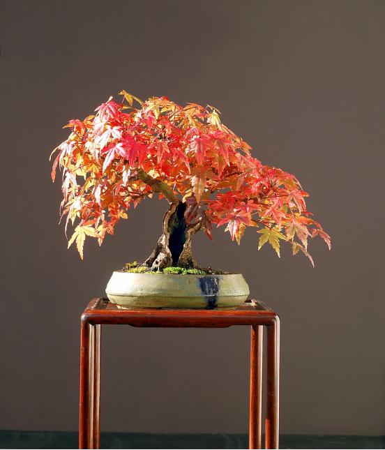 家里软装搭配物件,装修必配的软装物件