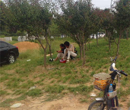 火眼金睛去淘宝－－二手车市场