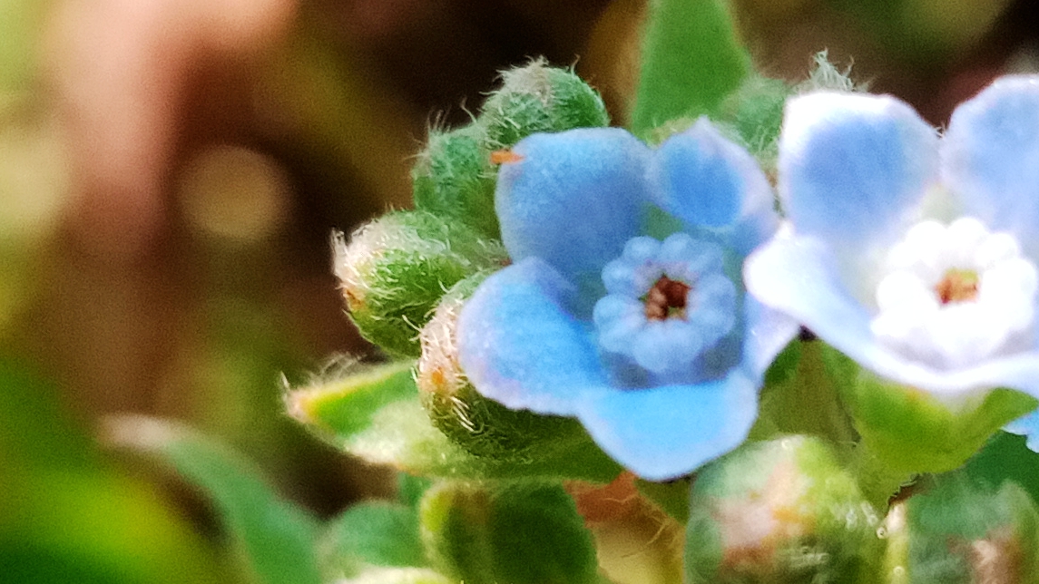 小品牌性价比电动车,酷比max5参数