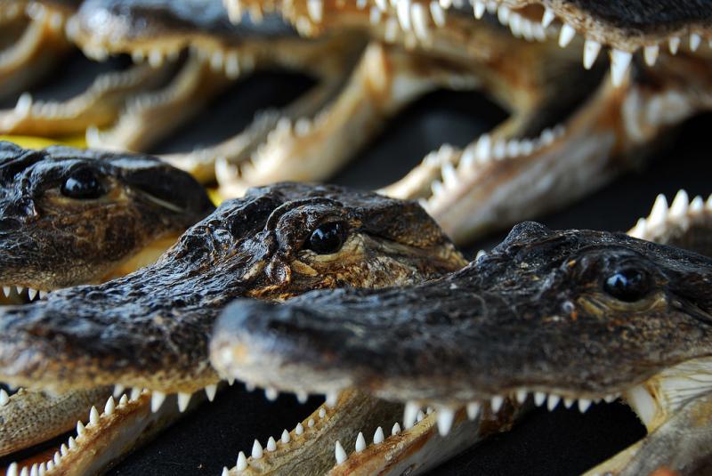 中国必买的手信,东南亚手信有哪些