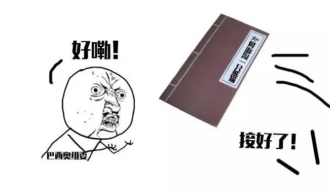 本届巴西奥组委：谁能帮我海淘只熊猫？