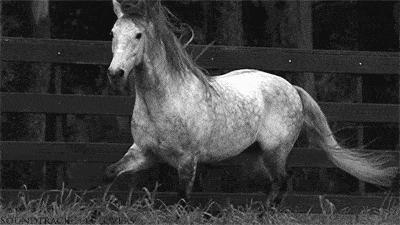 网红自制高颜值美食,超级火爆的网红美食自制