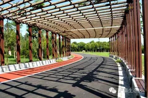 灞岸十里画廊和人山人海saybye~