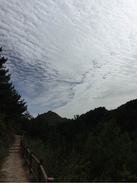 野外空手套“野鸡脖子”巨毒蛇已伏法