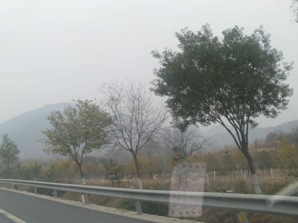 “射鸡”历险记打鸡血然后。