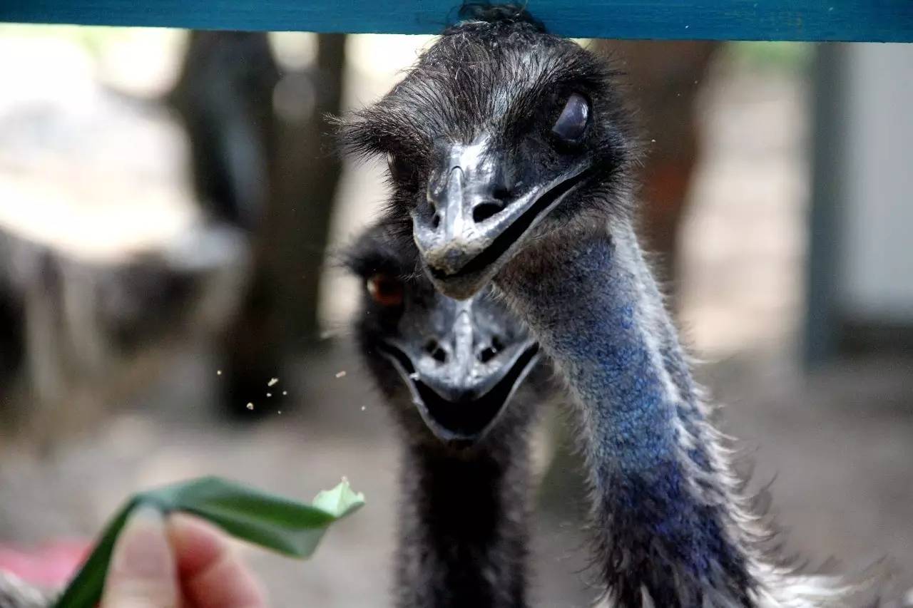 路虎揽胜漳州,揽胜海洋之心