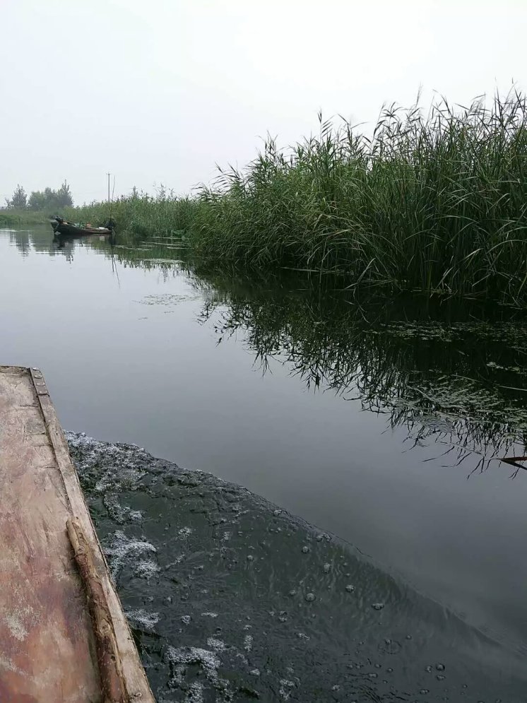 vivox7上手体验,vivox7缺点演示