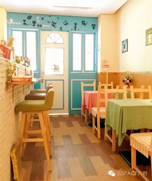 喵星人咖啡厅，治愈你疲惫的心！