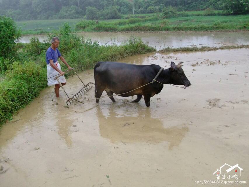 哪里适合隐居过田园生活,唯美的田园隐居生活