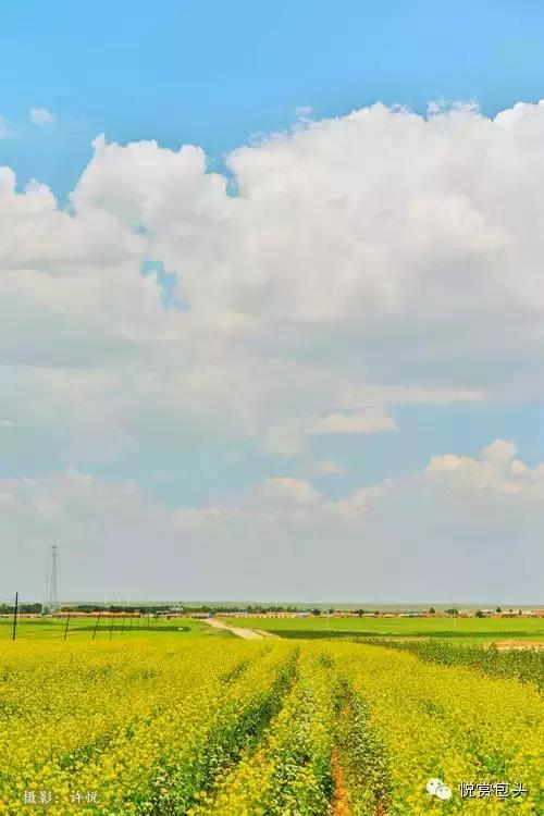 包头草原看星空,草原之上视频