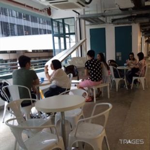 香港平价好吃餐厅有哪些,香港明星素食餐厅