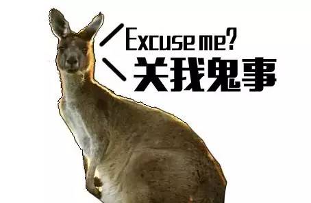 本届巴西奥组委：谁能帮我海淘只熊猫？