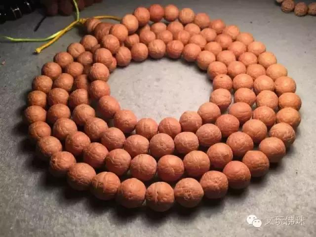 尼泊尔当地的凤眼贵吗,尼泊尔凤眼和国内凤眼颜色区别