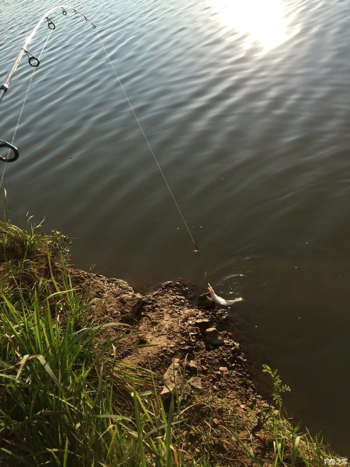 鳜鱼活性低用哪种拟饵,路亚鳜鱼拟饵