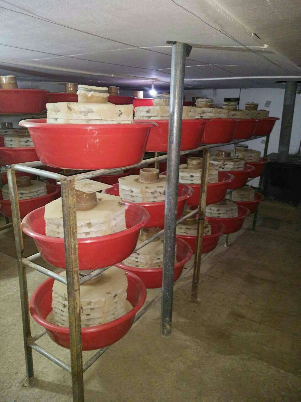 怎么养蝎子一般蝎子养在什么地方,蝎子的养殖技术教程