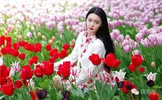 甘肃省第一美人是谁,陇南美女甘肃