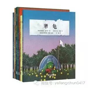 苍蝇和大象的足球赛,伟大无需证明