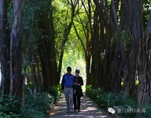 厦门适合野外烧烤的地方,厦门下雨天自己烧烤好去处