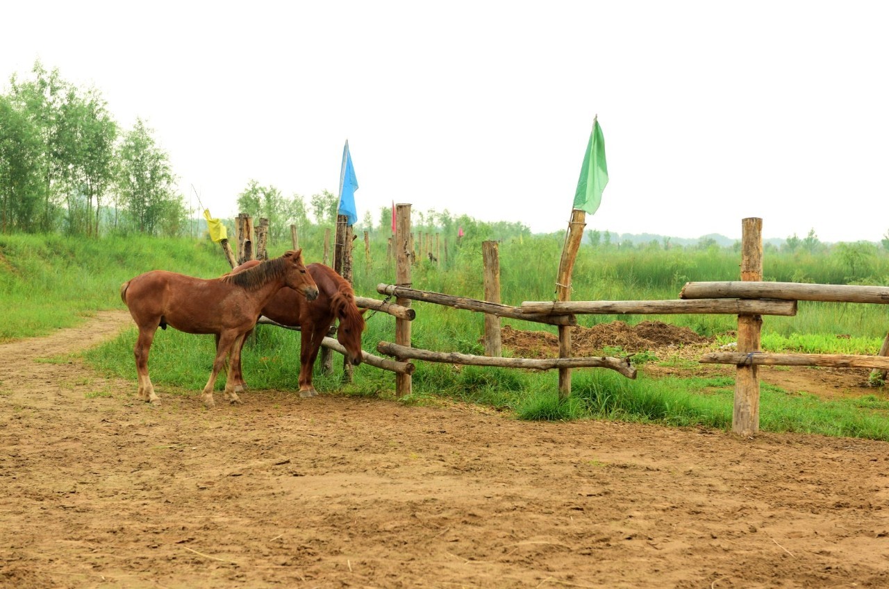 韩城黄河骑马,韩城古城骑马
