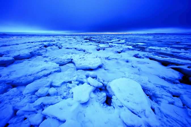 爽酷一夏，穿越北极