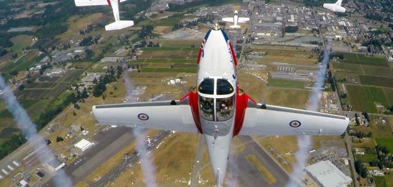 8月6日-8月12日大温一周精彩活动一起来看流星雨吧!