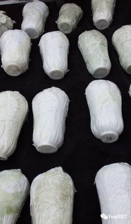 石佛寺玉器市场阿富汗玉,石佛寺玉器批发市场白玉菩提