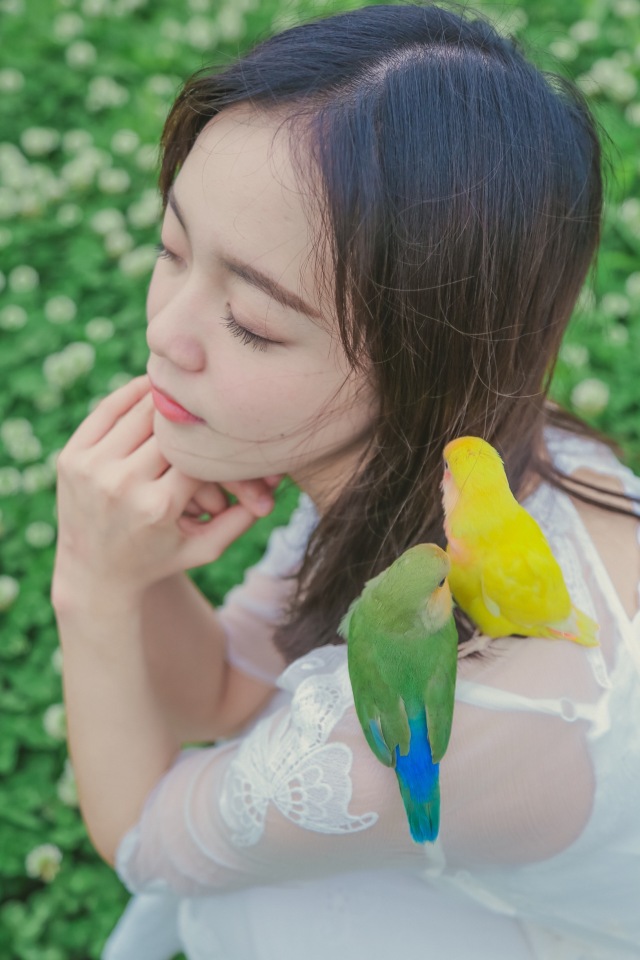 手养鹦鹉突然不吃奶粉是咋回事,虎皮鹦鹉多少天可以拿出来手养