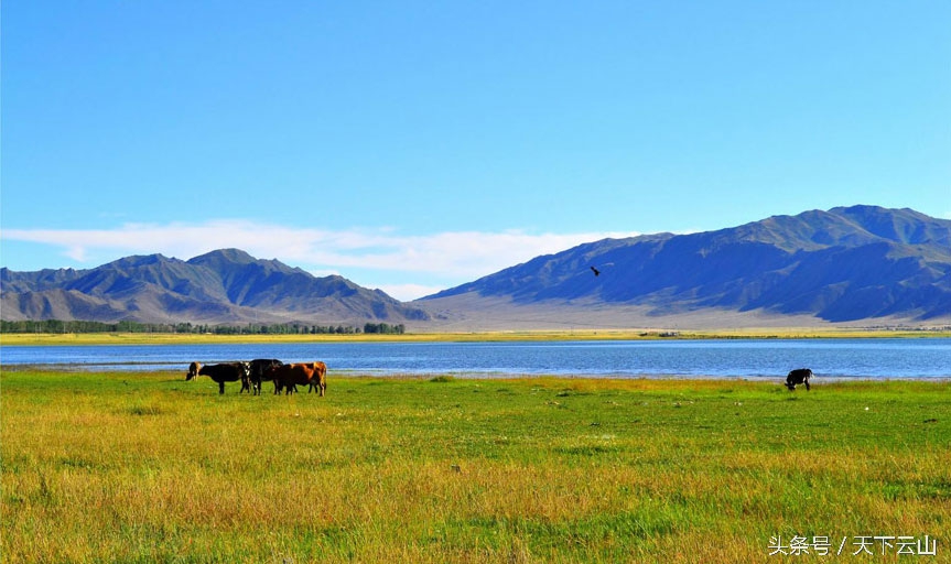 人间仙境可可托海纪行（文/冯忠文）