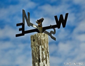 如何搭建一个自媒体公司,搭建强大自媒体中心