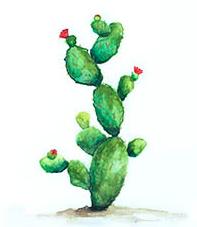 积分兑换的里程可以卖吗,积分商城兑换里程